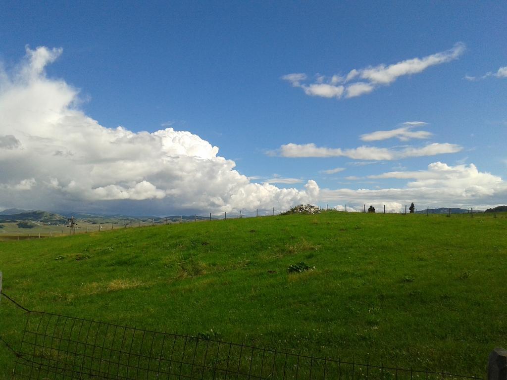 Boskovica Brvnare Konuk evi Žabljak Dış mekan fotoğraf