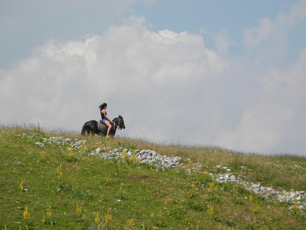 Boskovica Brvnare Konuk evi Žabljak Dış mekan fotoğraf