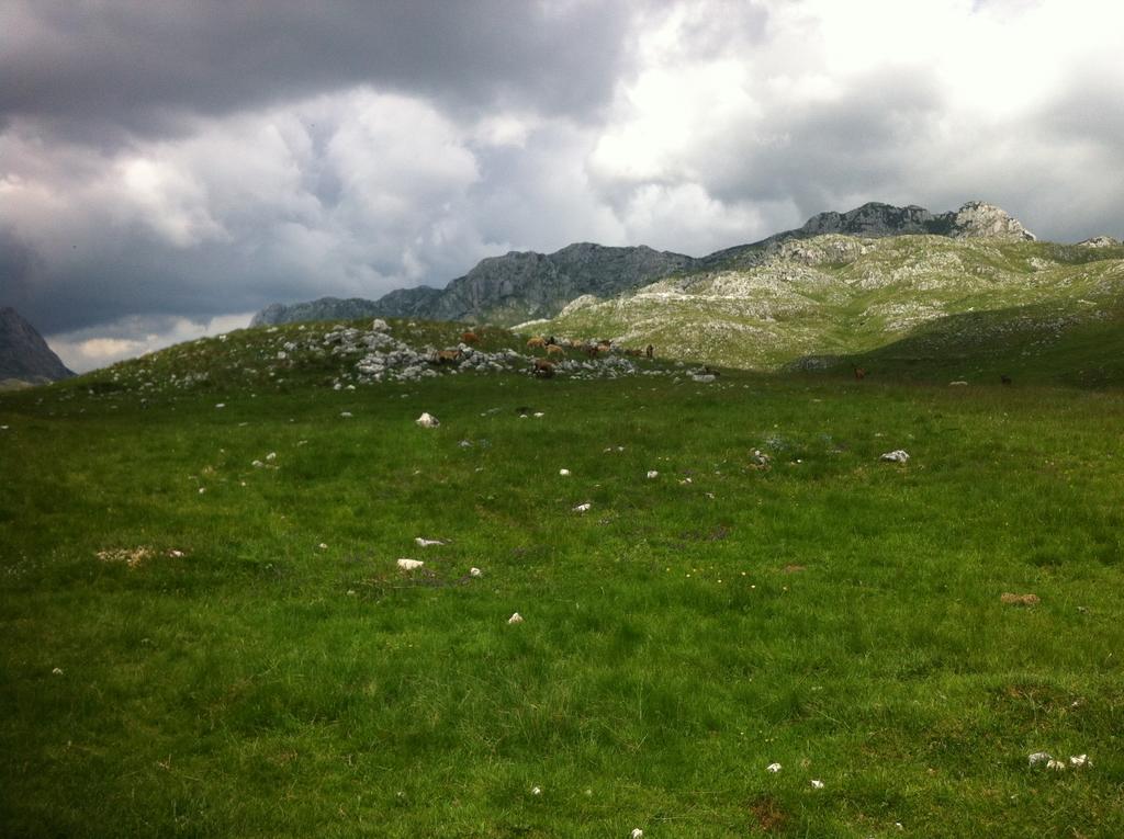 Boskovica Brvnare Konuk evi Žabljak Dış mekan fotoğraf