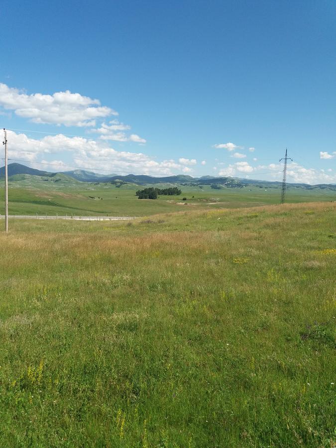 Boskovica Brvnare Konuk evi Žabljak Dış mekan fotoğraf